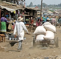 dirty york 2007 times forests did were acres cities rate around population kibera which sinks its terry whole jan rain